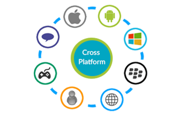 Multi-Platform Enterprise Grade Applications image